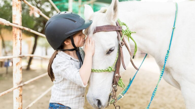 NDIS Funding: Equine Assisted Services